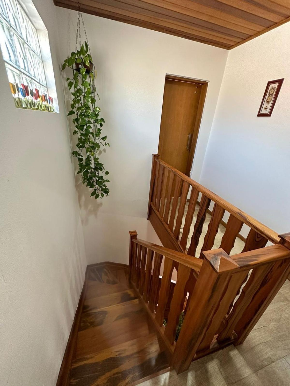 Raio De Sol Na Montanha Villa Campos do Jordao Ngoại thất bức ảnh